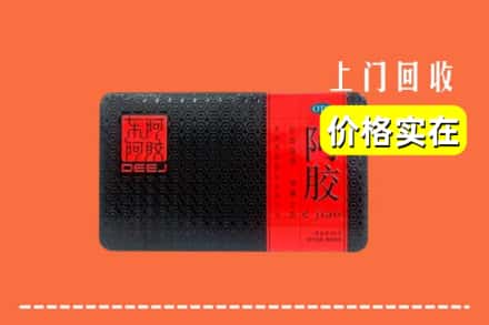 昌乐县回收阿胶