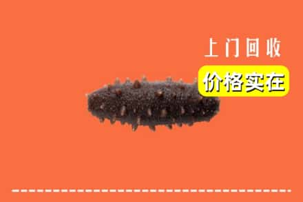 昌乐县回收海参