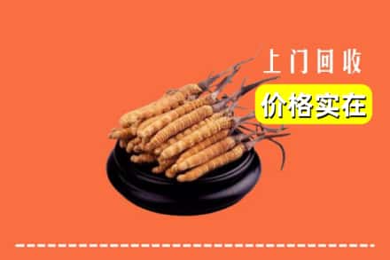 昌乐县回收冬虫夏草